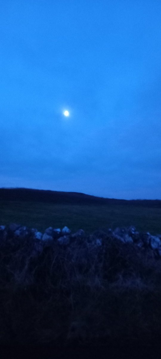 BDuffma's tweet image. #100daysofwalking #round4crew last day of #January2024 busy day ahead for small hands ➕ to be made #Burren