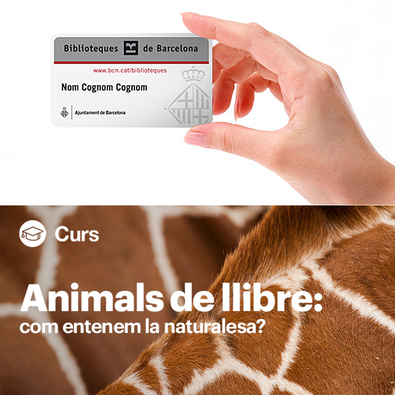 laietana's tweet photo. ❓ #Sabieuque amb el carnet de @BibliotequesBCN teniu un 5% de descompte als #CursosLaie?
🙌 Aprofiteu-ho per inscriure-us al curs "Animals de llibre: com entenem la naturalesa?", que comença el pròxim 6/02 🦜
👉 https://t.co/gJkyGjWkiH
#CursosLaie #LaieLlibreriaCafè https://t.co/2c9GjPipuL
