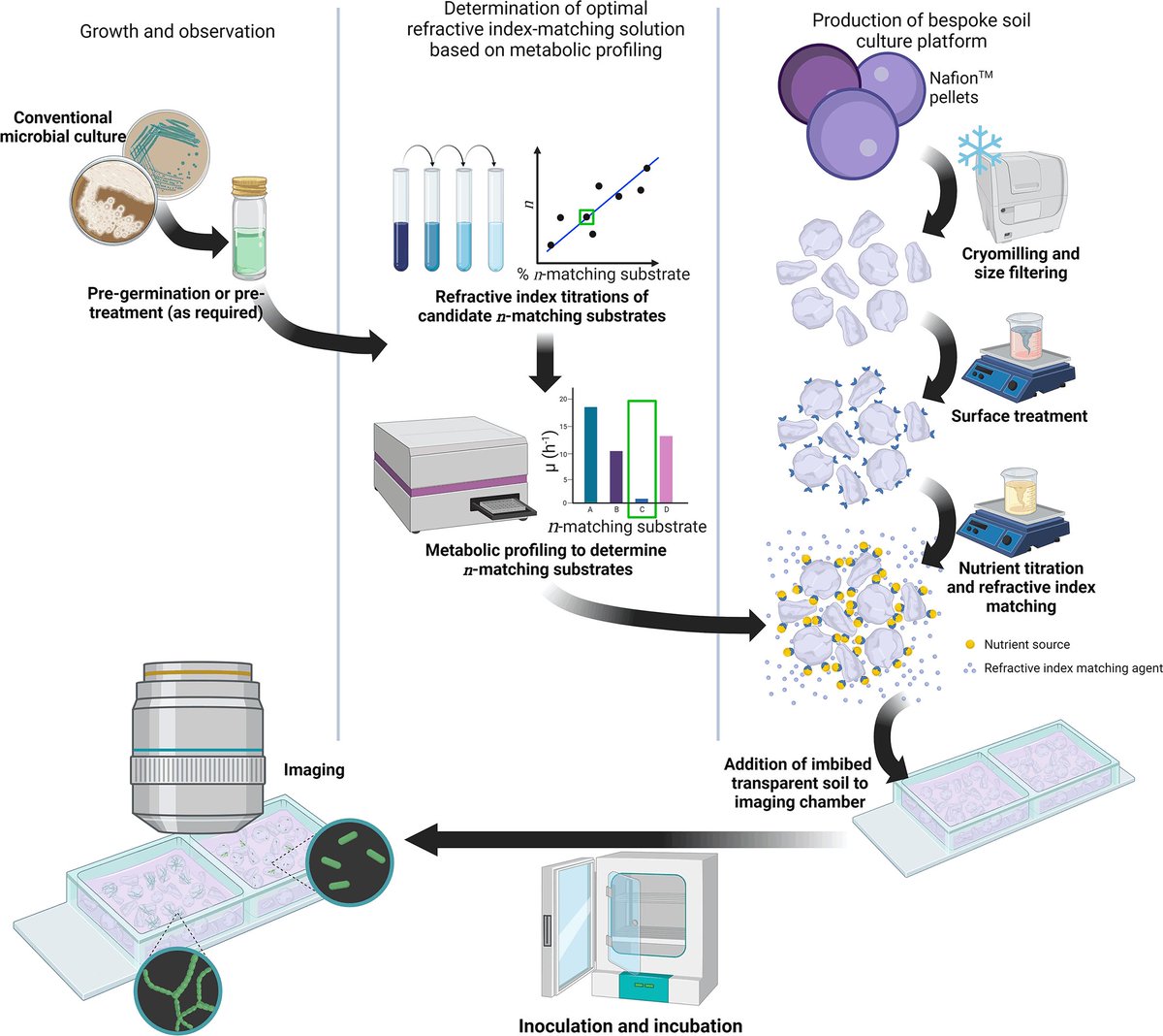 Construction and characterisation of a structured, tuneable, and transparent 3D culture platform for soil bacteria in Microbiology by Liam M Rooney et al with @PaulHoskisson and @gailmcconnell microbiologyresearch.org/content/journa…