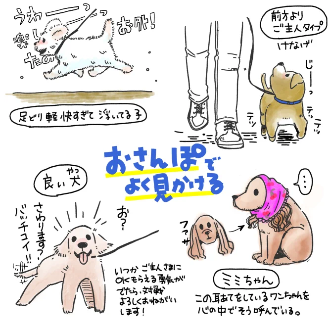 おさんぽの時見かけるいかしたメンツ 