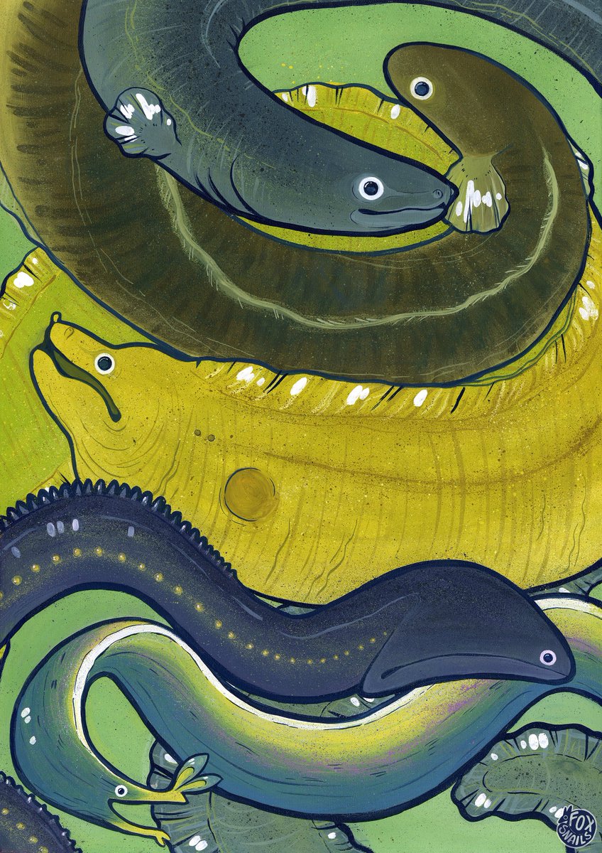 Fox (Ink Animal) tweet media