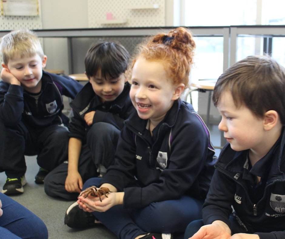 Snakes, bearded-dragons and spiders: oh my! Y1 had a handful of visitors today, to enhance their understanding of animal classifications in science. Thank you @LionLearners for bringing such a variety of animals for our pupils to see and hold! #GSALPrimary