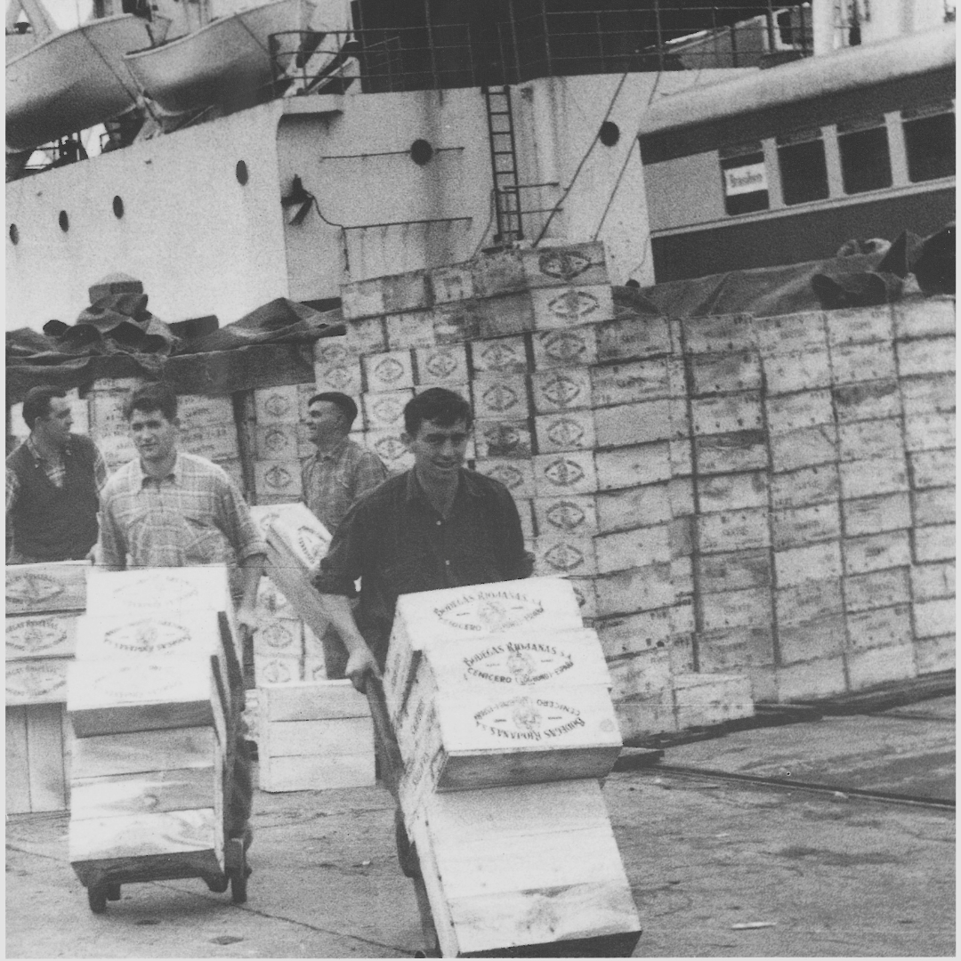 #BodegasRiojanas fue fundada en el siglo XIX cuando la familia #Artacho se unió a Rafael Carreras. Gracias a esta pasión por el vino y a haber sido capaces de evolucionar y adaptarnos a los nuevos tiempos, hemos logrado elaborar nuestros vinos llenos de historia y personalidad🍷