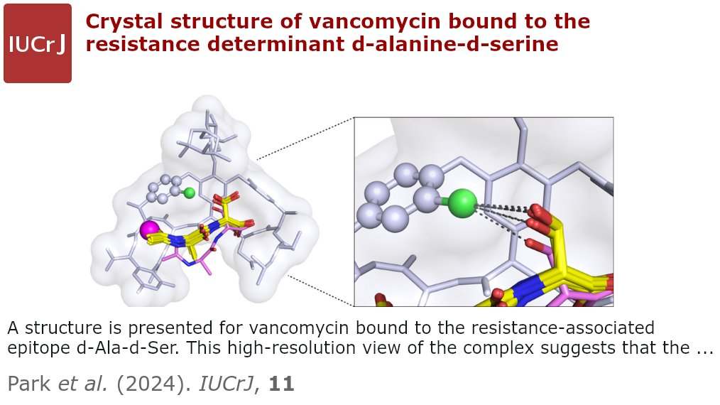 IUCrJ (@iucrj) on Twitter photo Structure of vancomycin bound to D-Ala-D-Ser <a href="/IUCrJ/">IUCrJ</a> doi.org/10.1107/S20522… <a href="/DrexelMedicine/">Drexel University College of Medicine</a> <a href="/DrexelBiochem/">Drexel Biochemistry & Molecular Biology</a> <a href="/NIAIDNews/">NIAID News</a> @NIAIDFunding <a href="/NIH/">NIH</a> <a href="/ENERGY/">U.S. Department of Energy</a> #vancomycin #antibiotic #resistance #supramolecular #macromolecularmachine #drugdiscovery #molecularrecognition <a href="/IUCr/">IUCr</a> #openaccess Structure of vancomycin bound to D-Ala-D-Ser <a href="/IUCrJ/">IUCrJ</a> doi.org/10.1107/S20522… <a href="/DrexelMedicine/">Drexel University College of Medicine</a> <a href="/DrexelBiochem/">Drexel Biochemistry & Molecular Biology</a> <a href="/NIAIDNews/">NIAID News</a> @NIAIDFunding <a href="/NIH/">NIH</a> <a href="/ENERGY/">U.S. Department of Energy</a> #vancomycin #antibiotic #resistance #supramolecular #macromolecularmachine #drugdiscovery #molecularrecognition <a href="/IUCr/">IUCr</a> #openaccess