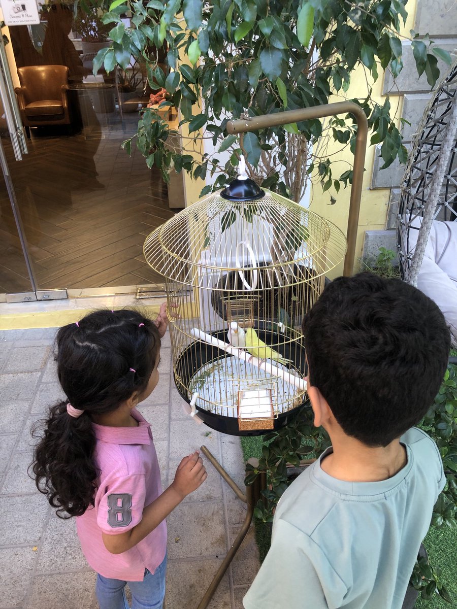 UB200's tweet photo. اذًردً ودعي🥹زسايتبتذدربلطب يب حلوة حلوة https://t.co/Z1IHlcP7pf