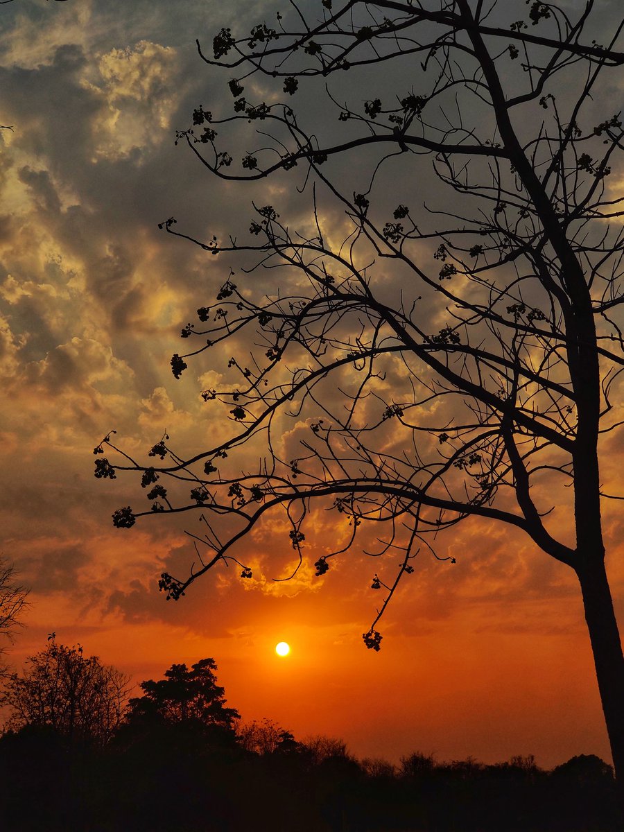 tezdevani11's tweet photo. @mobile_com01 Captured these pictures using my @oneplus 7t https://t.co/u8k3MEMhKb