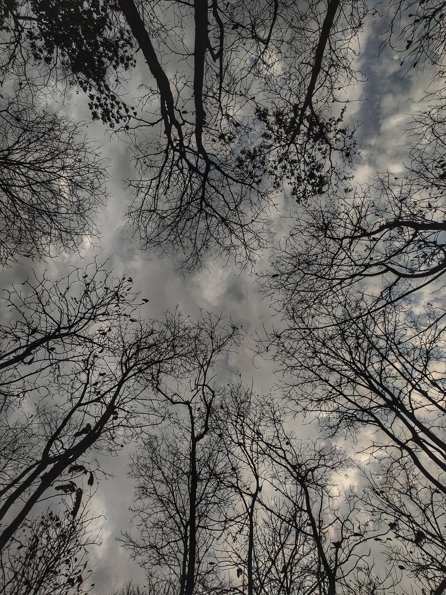 tezdevani11's tweet photo. @mobile_com01 Captured these pictures using my @oneplus 7t https://t.co/u8k3MEMhKb