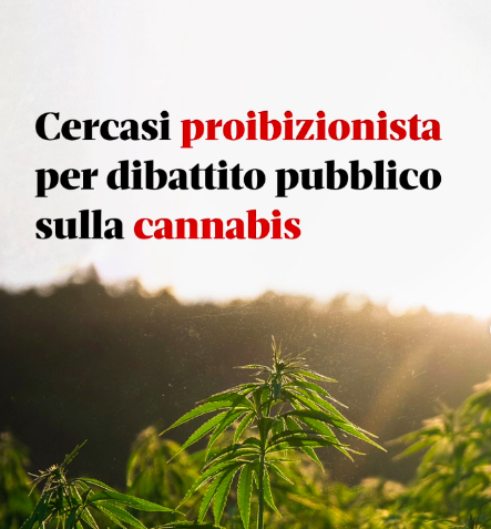 Se io fossi esponente di un partito al 40% avrei così tanta paura di confrontarmi con un’associazione di cittadini sul tema della #cannabis? Storia di come <a href="/gasparripdl/">Maurizio Gasparri</a> <a href="/ChiaraColosimo/">Chiara Colosimo</a> e 35 loro colleghi mi hanno fatto ghosting <a href="/LegaleMeglio/">MeglioLegale</a>  editorialedomani.it/idee/voci/aaa-…
