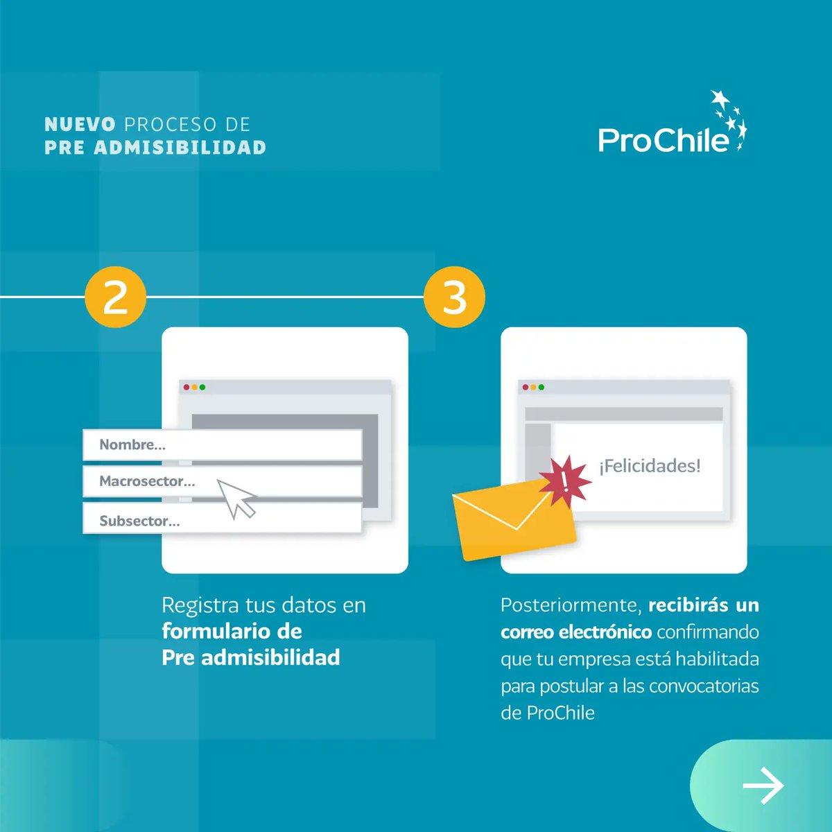 ProChile Ñuble tweet media