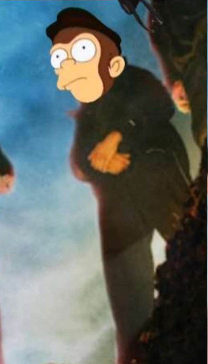 kit🐻(Black,Grey) tweet media