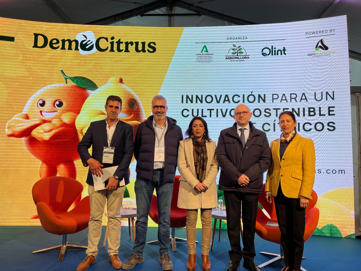 IfapaJunta's tweet photo. #DemoCitrus reúne en Sevilla a 800 profesionales para abordar la #innovación en el cultivo de #cítricos

🍊El #IFAPA y @Agromillora_ han organizado la primera edición de este evento enfocado en los últimos avances del sector

🔗Lee la #noticia completa en: https://t.co/d6zA09phaT https://t.co/5eWsswYpnV