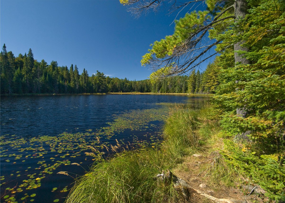 Our friends at <a href="/foca_info/">FOCA</a> invite you to fill out a survey to help them understand the current level of knowledge about water quality in Ontario, what affects it, and how to be a good "steward" of water. The survey is open until February 25, 2024. buff.ly/3vXQuGq