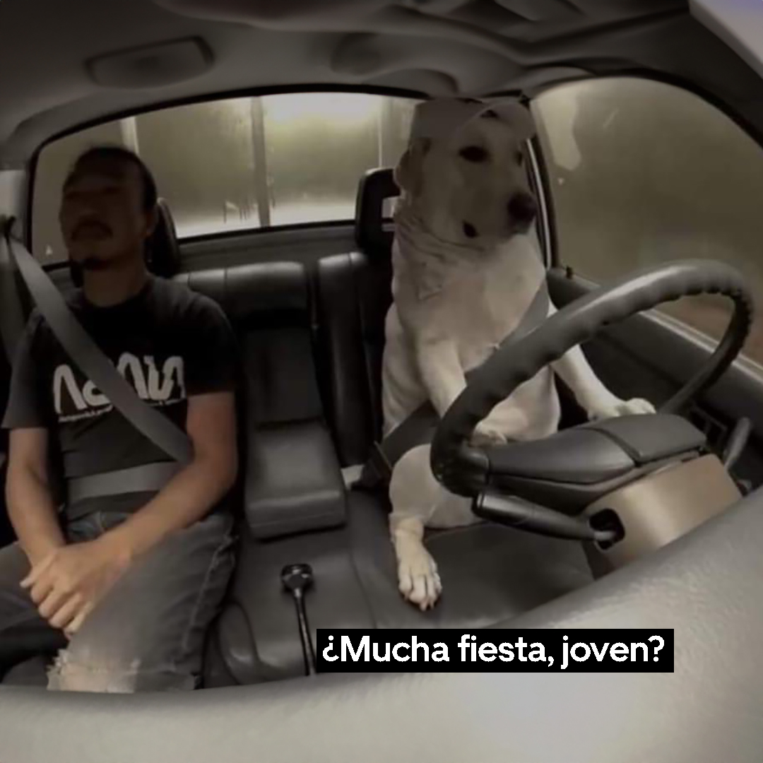 El del uber al minuto de subirme y verme con mi peor cara