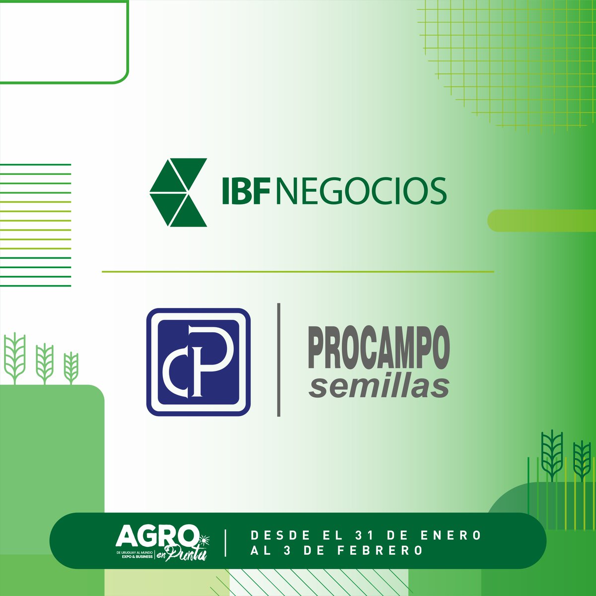 IBF Negocios tweet media