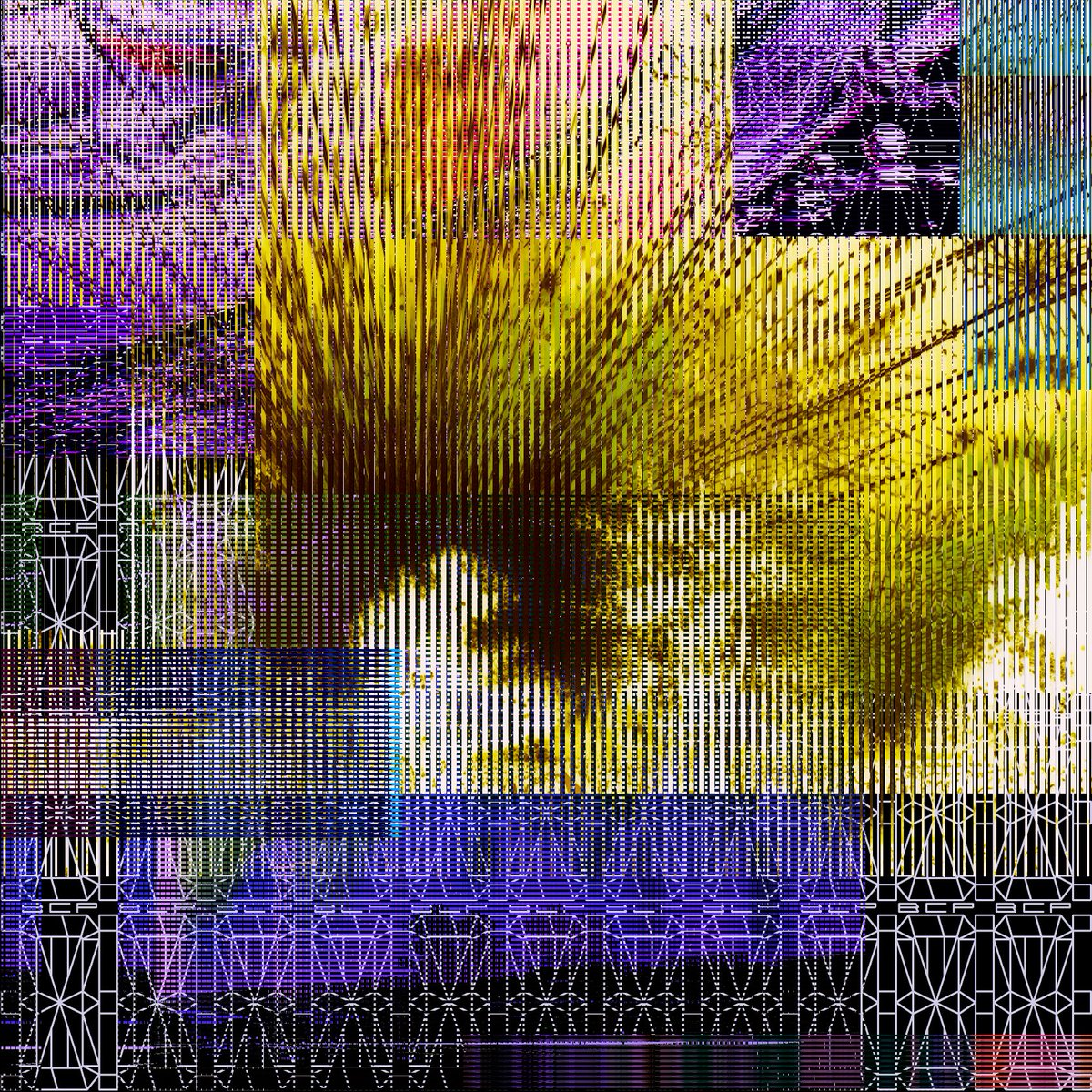 ཊལབསརངཧ tweet media