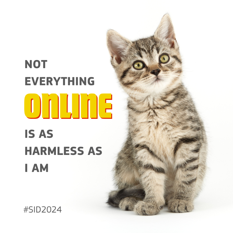 DigitalEU's tweet photo. Save the date for Safer Internet Day 2024:

🟠 Tuesday, 6 February 🟠

⚠️ An opportunity to raise awareness of a safer and better internet for all, especially for children and young people.

🐱 Because not everything #online is as cute as doggos and kittens!

#SID2024