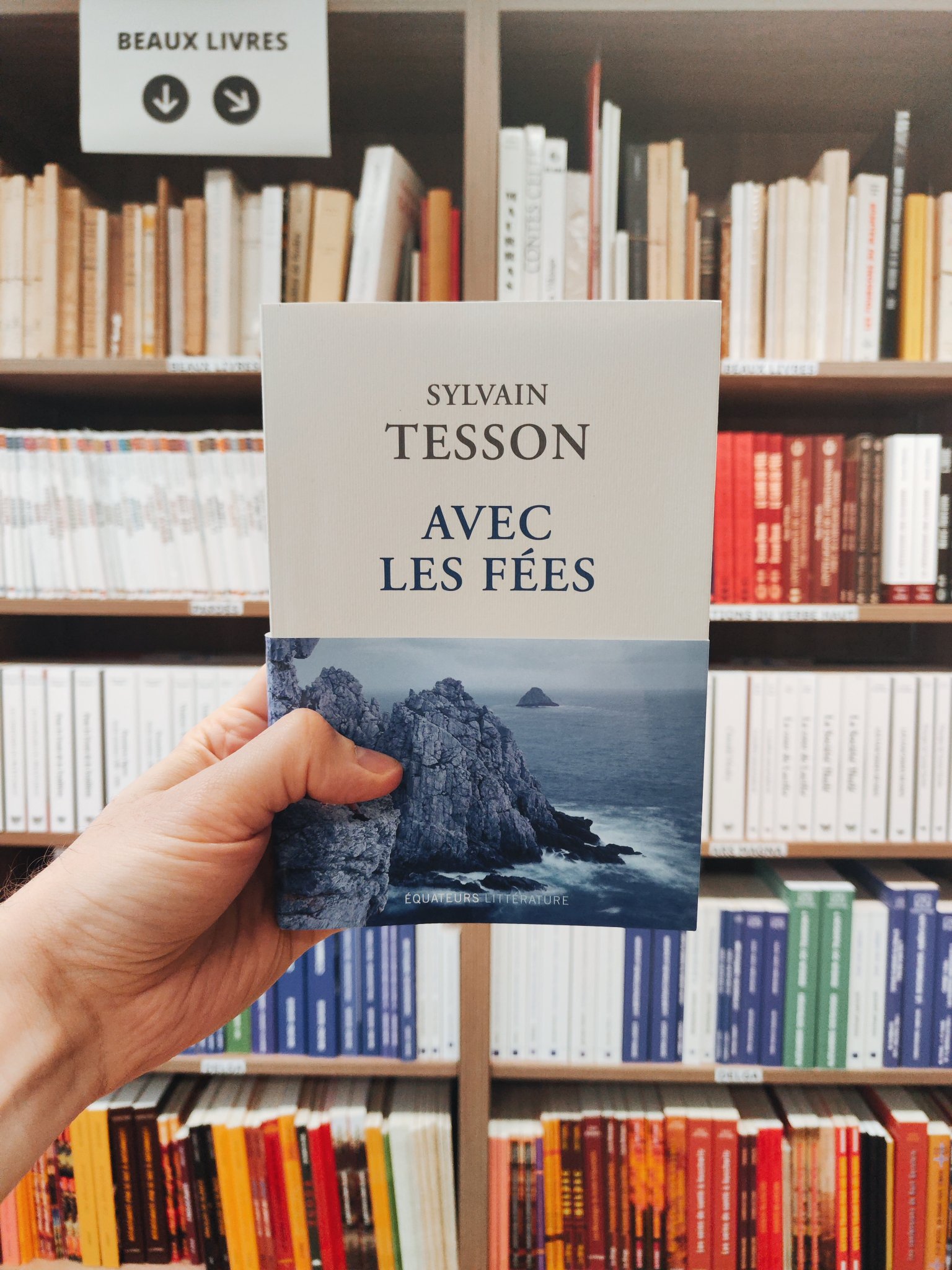 Librairie Vincent on X: 📕 Avec les fées de Sylvain Tesson aux