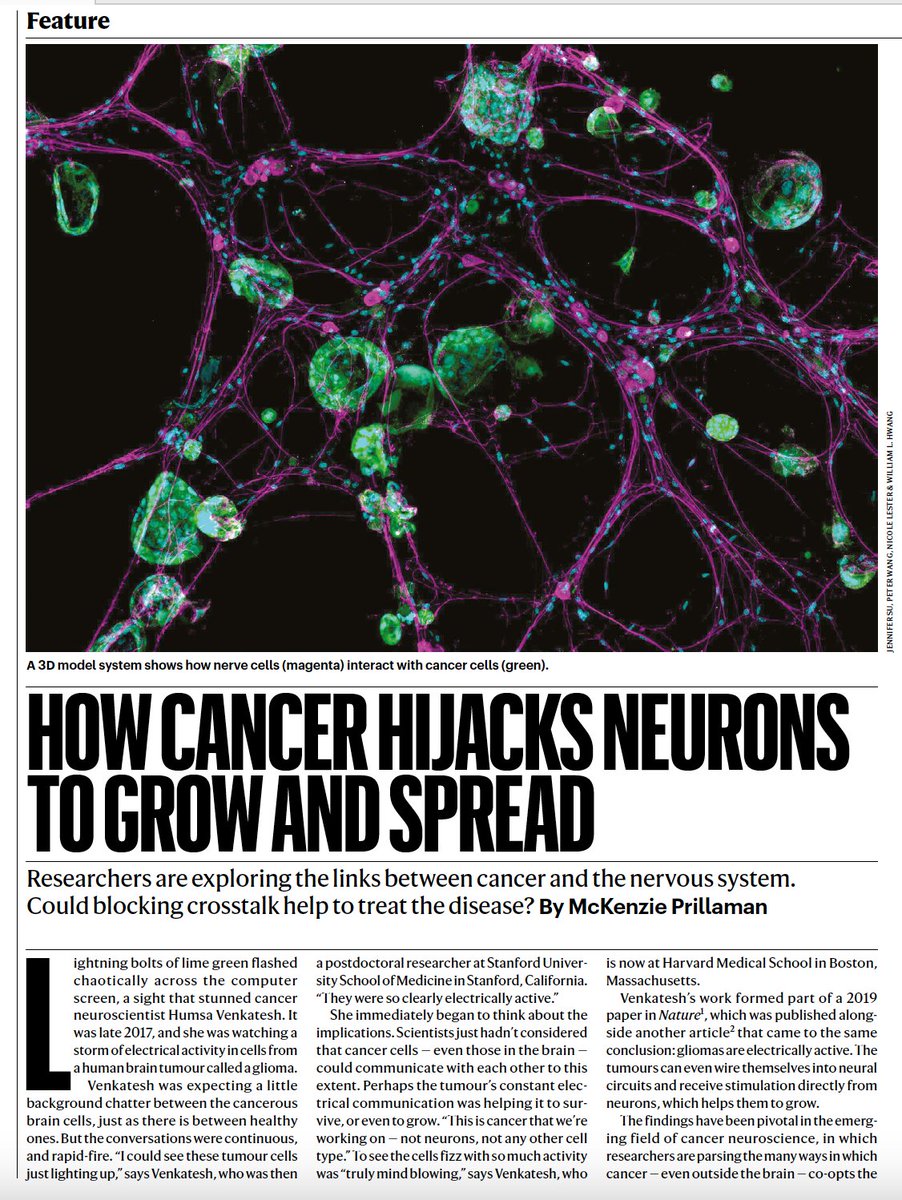 EricTopol's tweet photo. Cancer hijacks neurons, integrates with neural circuits to promote growth, and this has become a new target for treatments in clinical trials
https://t.co/A8jyC6u9WG new feature @Nature https://t.co/ZK5tfaF2zb