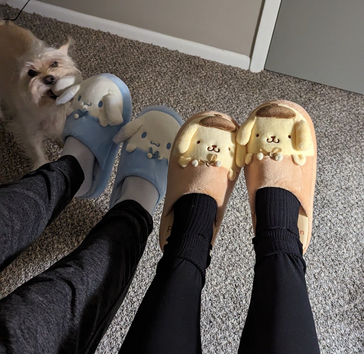 𝖘𝖛𝖊𝖓𝖏𝖆𝖒𝖎𝖓 ⛓️ tweet media