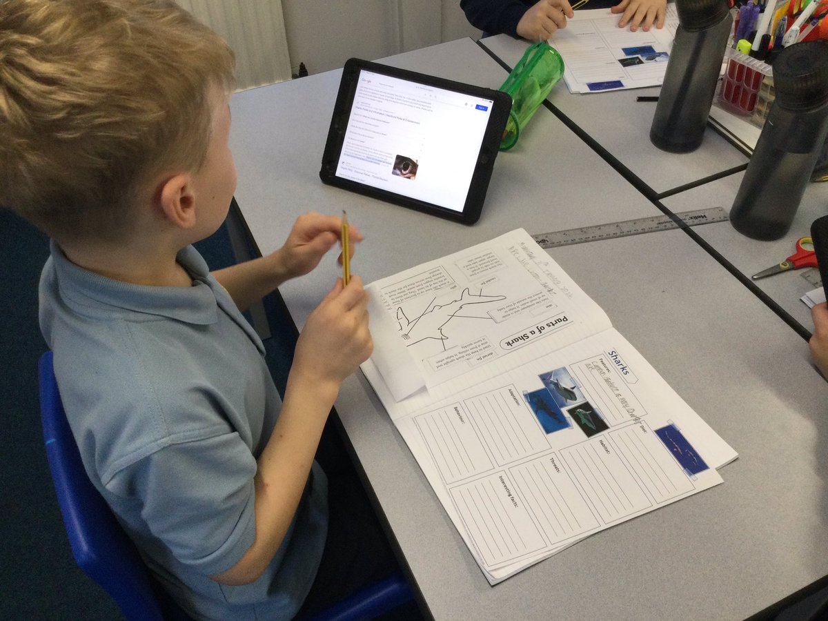 CCCRPrimary's tweet photo. Y4 have been inspired by Steve Backshallβs Live lesson on Sharks to research and write their own fact files. We are now a wealth of fantastic information about these beautiful creatures π¦π¦
@CCCRPrimary #cccrscience @SteveBackshall https://t.co/PsCT1hKvfw