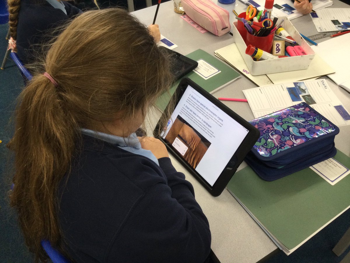 CCCRPrimary's tweet photo. Y4 have been inspired by Steve Backshallβs Live lesson on Sharks to research and write their own fact files. We are now a wealth of fantastic information about these beautiful creatures π¦π¦
@CCCRPrimary #cccrscience @SteveBackshall https://t.co/PsCT1hKvfw