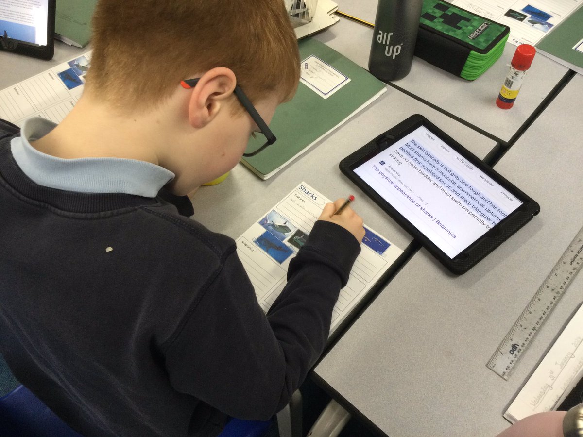 CCCRPrimary's tweet photo. Y4 have been inspired by Steve Backshallβs Live lesson on Sharks to research and write their own fact files. We are now a wealth of fantastic information about these beautiful creatures π¦π¦
@CCCRPrimary #cccrscience @SteveBackshall https://t.co/PsCT1hKvfw