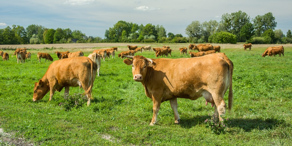 Clarke Willmott LLP tweet media