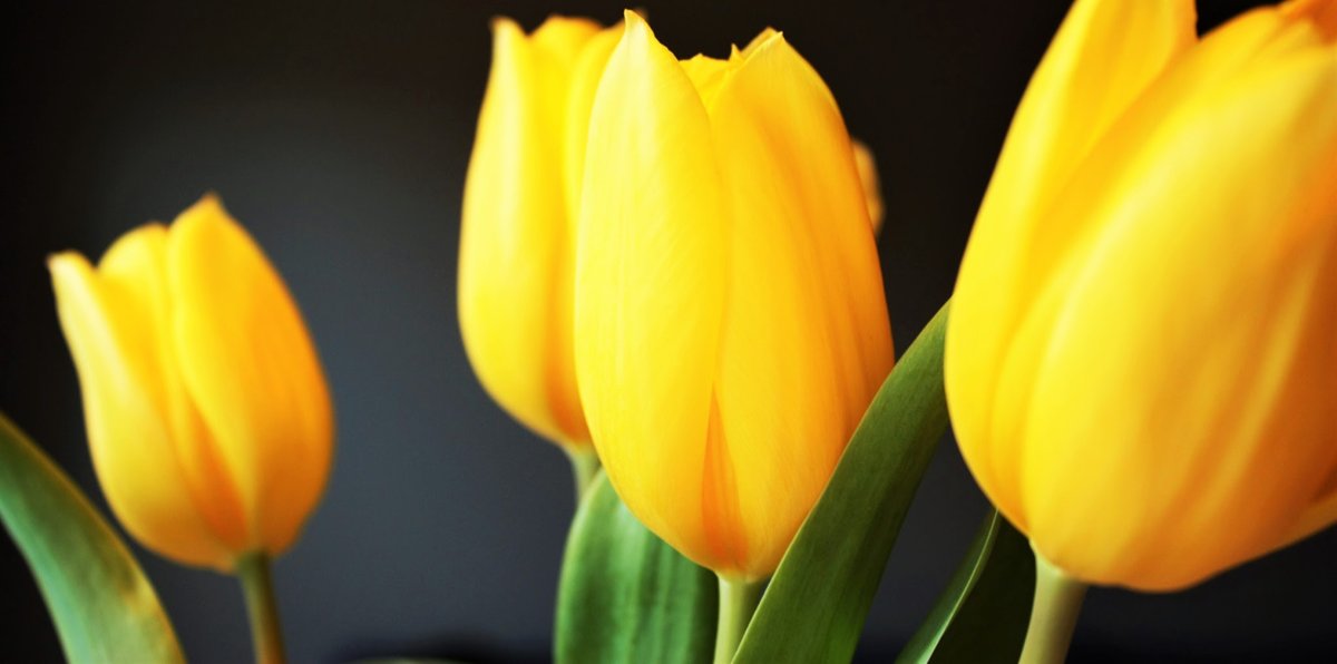 Bill Chamberlain tweet media