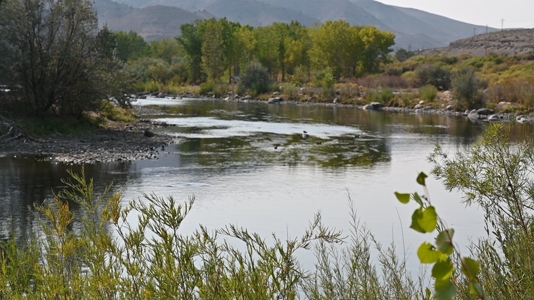 Today, for #WetlandWednesday the Park of the Day is Lockwood Park+Trailhead. Its located 6mi east of Reno off I-80 in Northern NV. It used to be a trailerpark but in 2009, river meanders, wetlands + nativeplants were added to  improve the wildlife habitats along the river.🌱