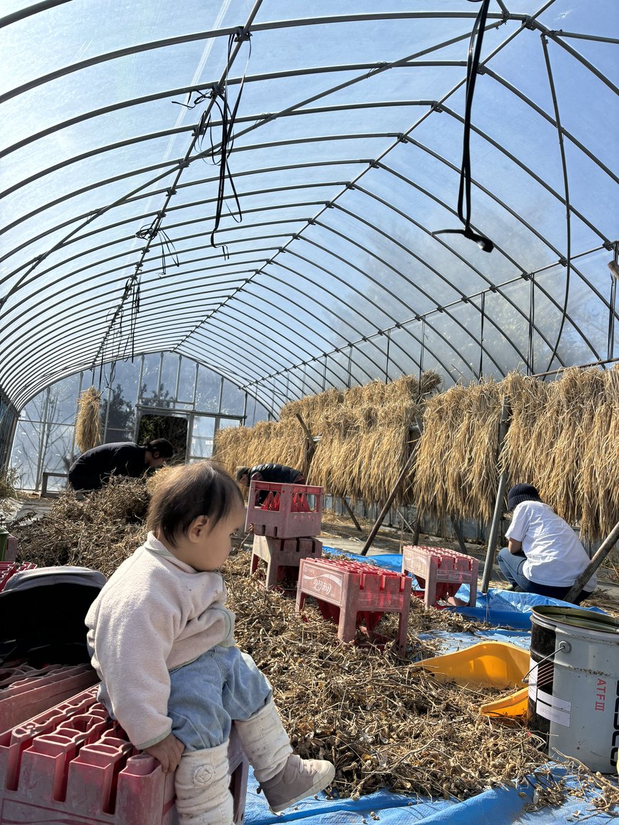 まじでできる事ならずっと一緒にいたい。でもふとした時に仕事集中してやりたいとか、誰かと話す時に👶じゃない話題話したいとか、思ってしまう。
