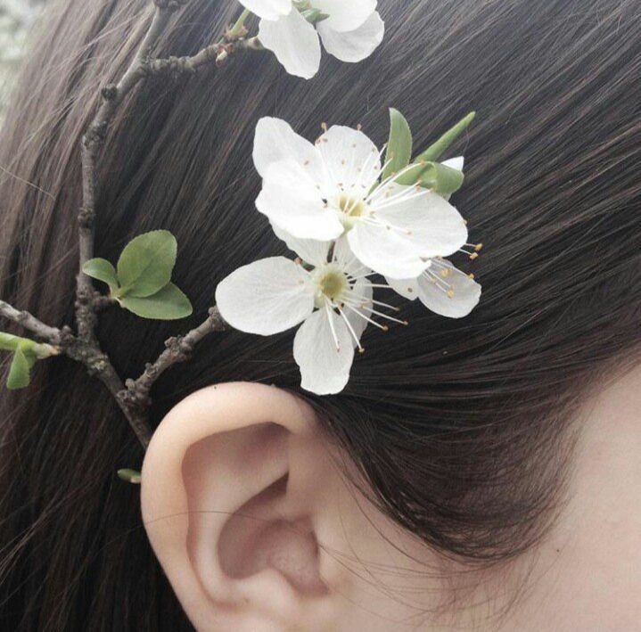 studyviics's tweet image. [ ⌕ : #studytwtbr | #studytwt ]

౨ৎ . ⋆.˚ 
       ⤿vic . ela/dela . 2006
       ⤿biomedicina
       ⤿vestibulanda . enem
       ⤿ptbr  . eng

꒰ 🌱 ꒱ ࣪𓂂 ׅ  anime, manga, kpop (principalmente gg), rap, genshin, etc.

♡/↺= mutuals!