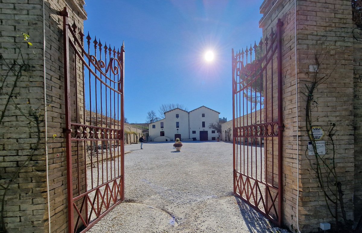 Lovely few days running #wset2wine at Scacciadiavoli in Montefalco.