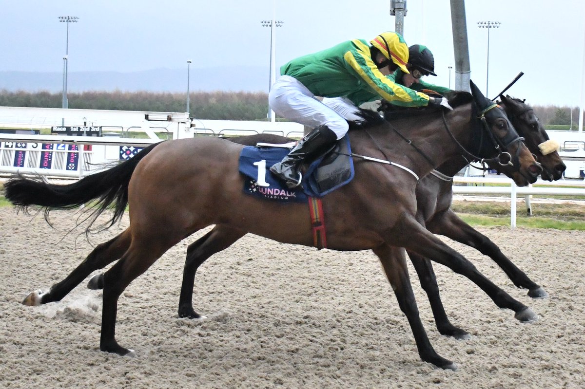 PCequinephoto's tweet photo. Unterberg trained by @LHouriganRacing is a winner @DundalkStadium 31/1/24 https://t.co/kXP2HduxB3