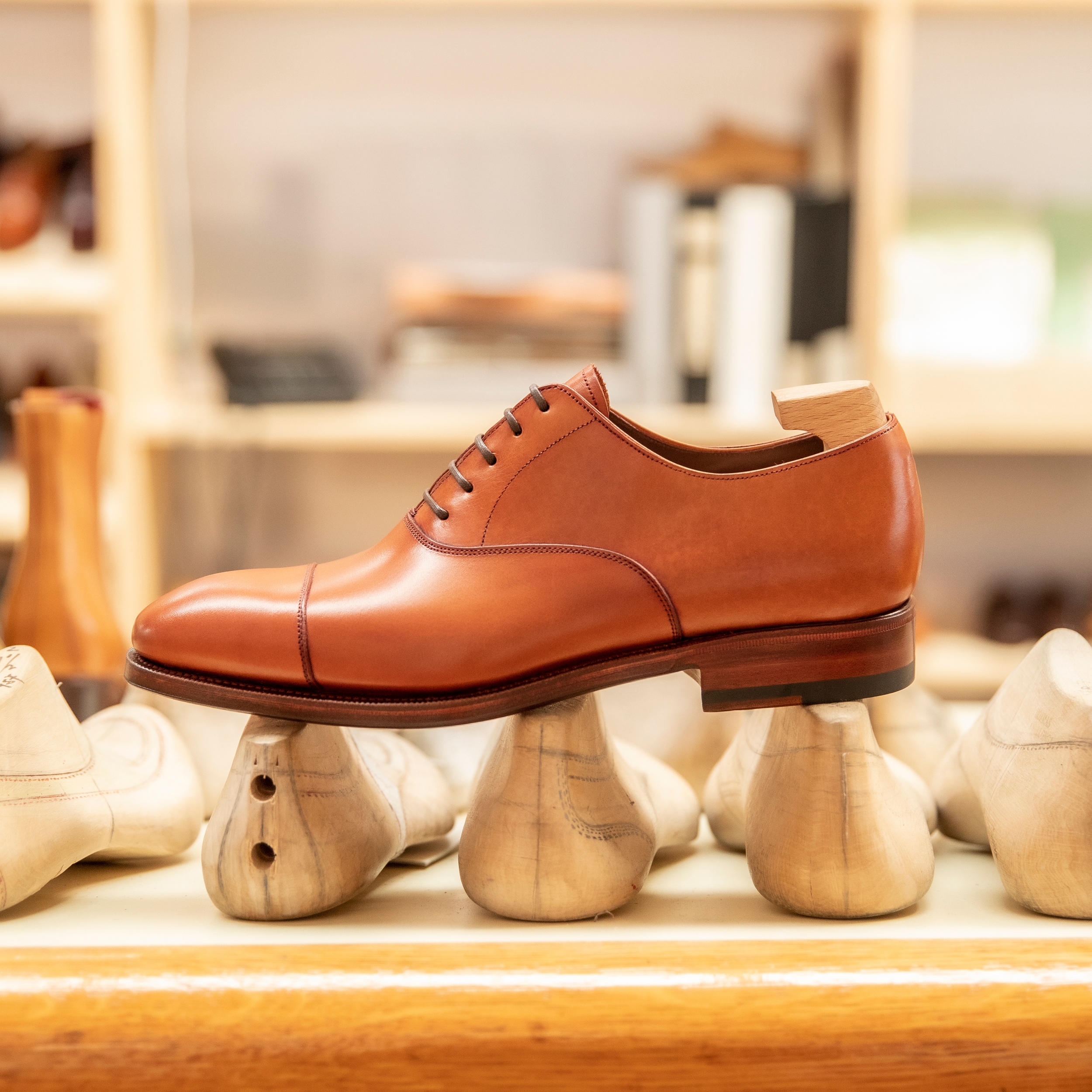 Carmina Shoemaker on X Winter Sale 2024 Cap toe oxfords shoes 80386 in tanned pompei finish vegano. Are you going to miss the opportunity to have them with a 25 off carminashoemaker carmina