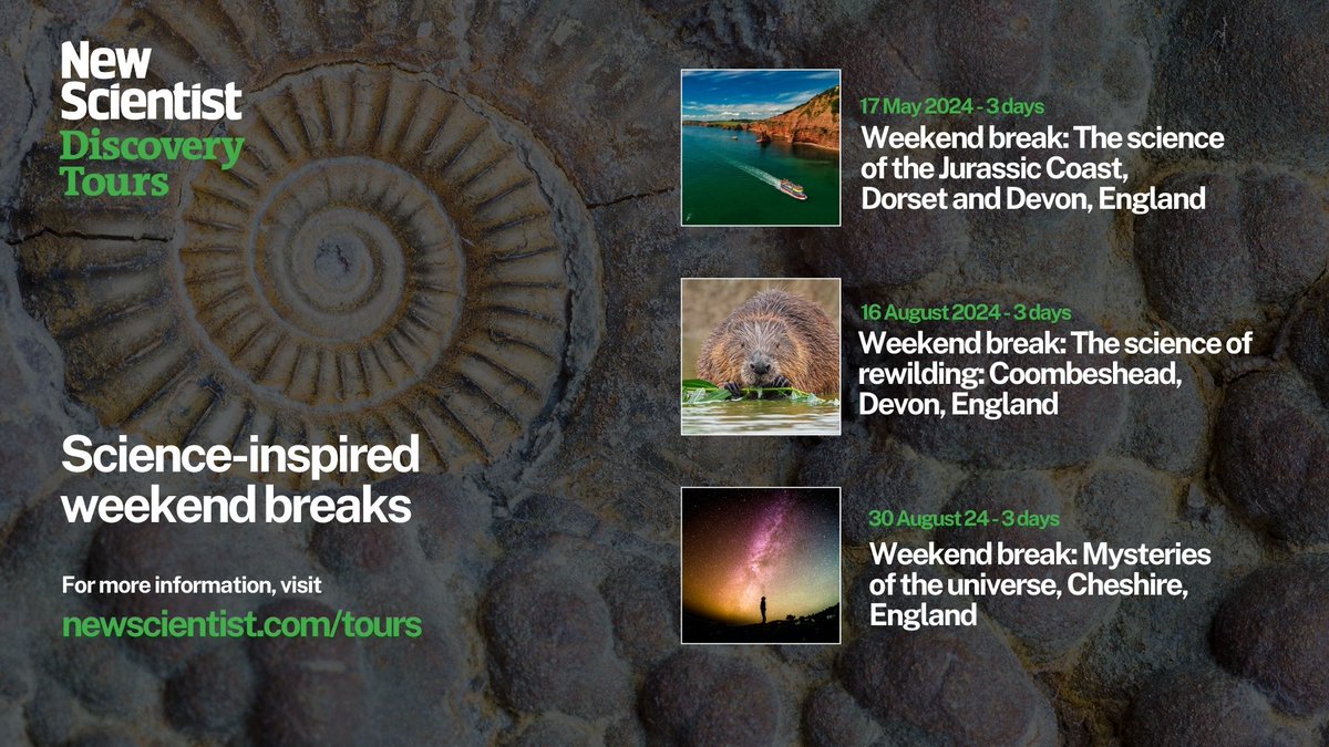 NS Discovery tweet media