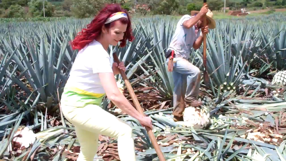 Cleo Rocos in the fields of Arandas Mexico . AquaRiva Organic Agave Syrup and Tequila have NO additives or chemicals used to make our fantastic products. aquariva.co.uk
