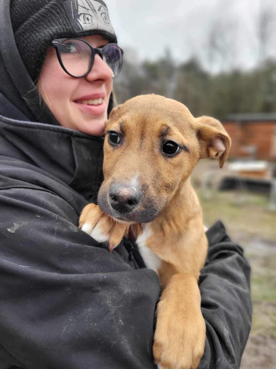 Pies do adopcji, Zgierz
Szczeniak Suczka urodzona we wrześniu ( bedzie w przyszłości...
wieszgdziezwierz.pl/psy/do-adopcji…
#piesdoadopcji #doadopcji #pies #adoptuj #niekupujadoptuj #zgierz