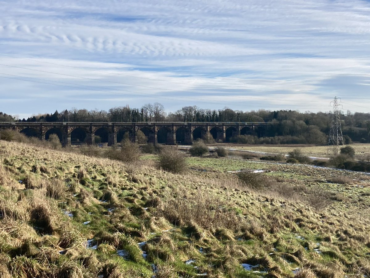 Jatty58's tweet photo. A decent morning on #DuttonLocks patch with Woodcock, Peregrine, Water Rail, Cetti’s Warbler, Stonechat, Skylark, 41 Pink-feet over and a minimum of 11 Mandarin that were on a pool within damp woodland in Dutton Woods.
@CAWOSBirding https://t.co/y2taswS0xE
