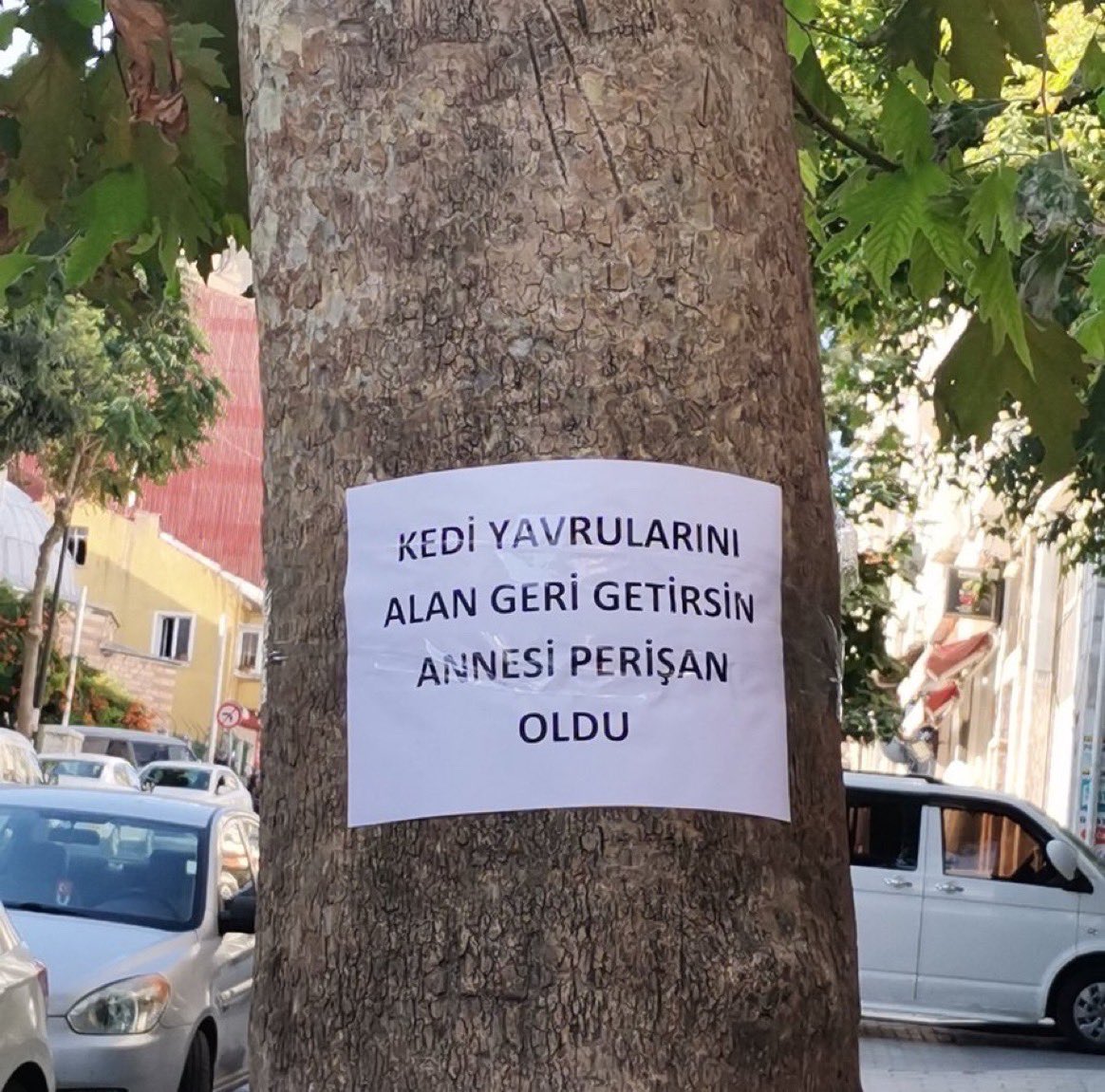 ulanburki's tweet photo. oturup aglicam simdi https://t.co/PhaOe1yZX5