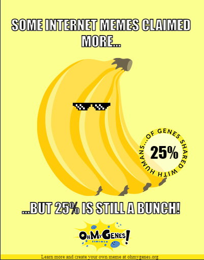 LightOfEvol's tweet photo. The 50% shared with the banana is quite different from the 25% of genes in common with the banana determined by @ISBSIB experts @cdessimoz @Gloveface (OMA method) https://t.co/XPzLWZ7uUF https://t.co/K1LMuqXB79