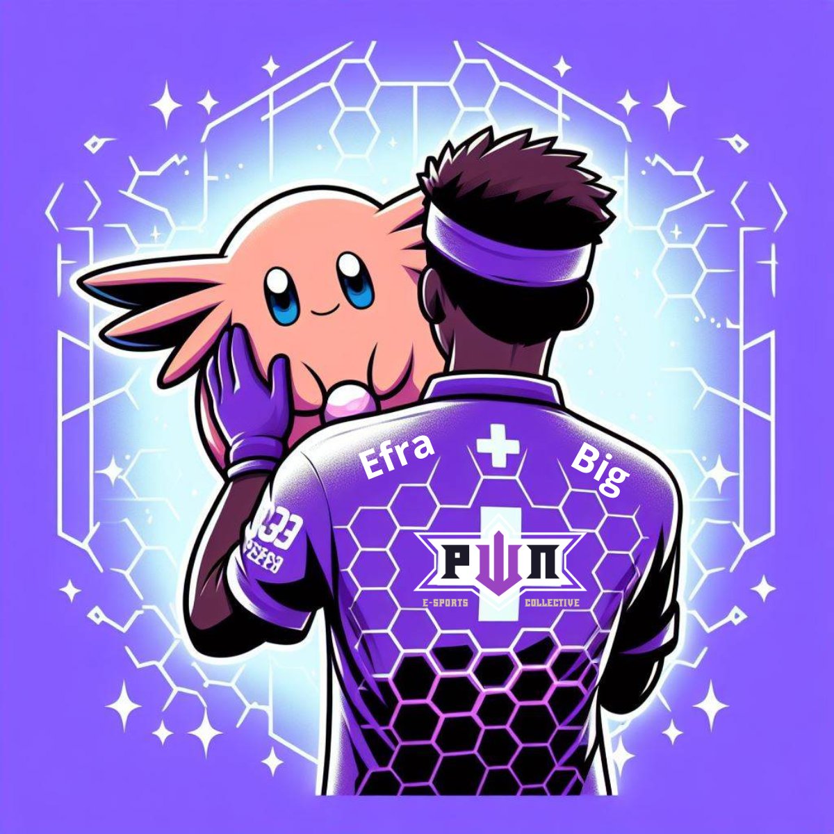 PWN Esports Collective tweet media
