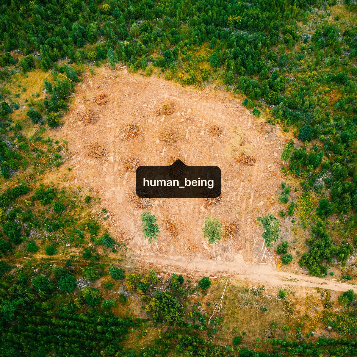 forest_themovie's tweet photo. 🚫🪓🌲The human being who destroys his own land destroys himself. #ForestTheMovie #BeForestInPeace https://t.co/rGm2SkMxBK