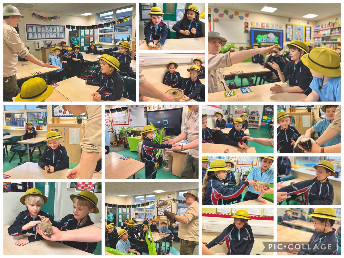 We had a fantastic visit from Wee Critters today. Always a treat!  <a href="/WeeCrittersNI/">Wee Critters</a>