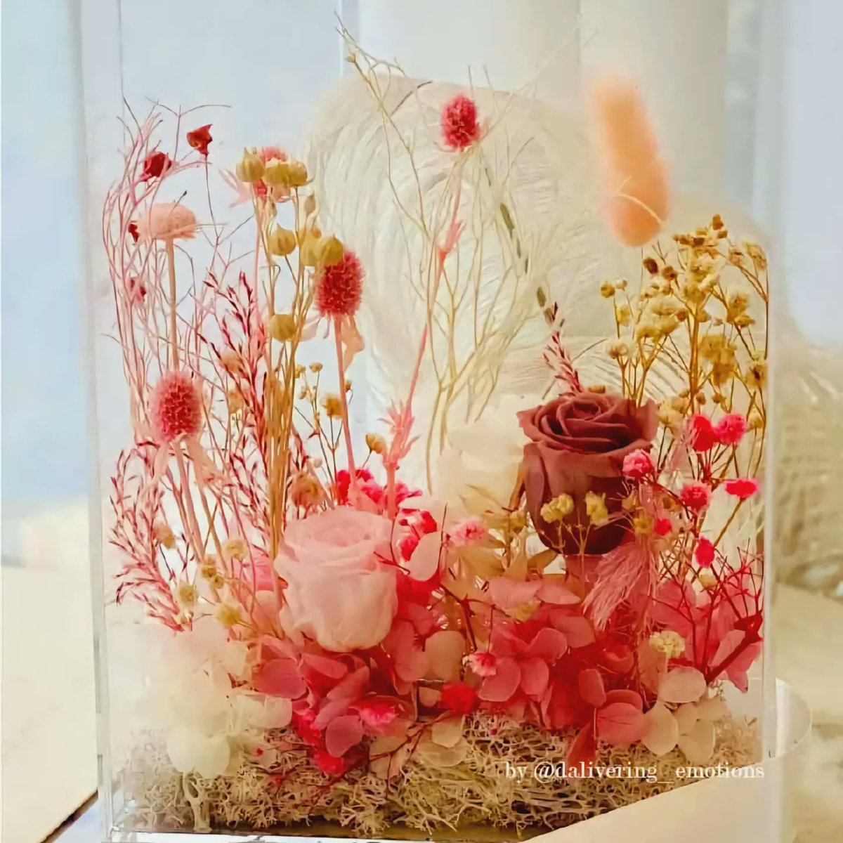 fully_fleur's tweet photo. "Floral Ocean 3D/ Premium Rose acrylic box"

Preserved flowers กุหลาบอมตะ จัดวางในรูปแบบดอกไม้ใต้ทะเลลึก แด่คนพิเศษ สำหรับคนพิเศษ พร้อมกล่องอะคริลิคใส #ให้ความประทับใจไปตลอดกาล 👰‍♀️💍🪻🌹 
กุหลาบจริง 100% เก็บได้ 3-5 ปี
สั่งจองทันทีมีโปรโมชั่น ส่วนลด10% #ส่งฟรี จองก่อน 10 ก.พ. https://t.co/d4ixcoXAPR