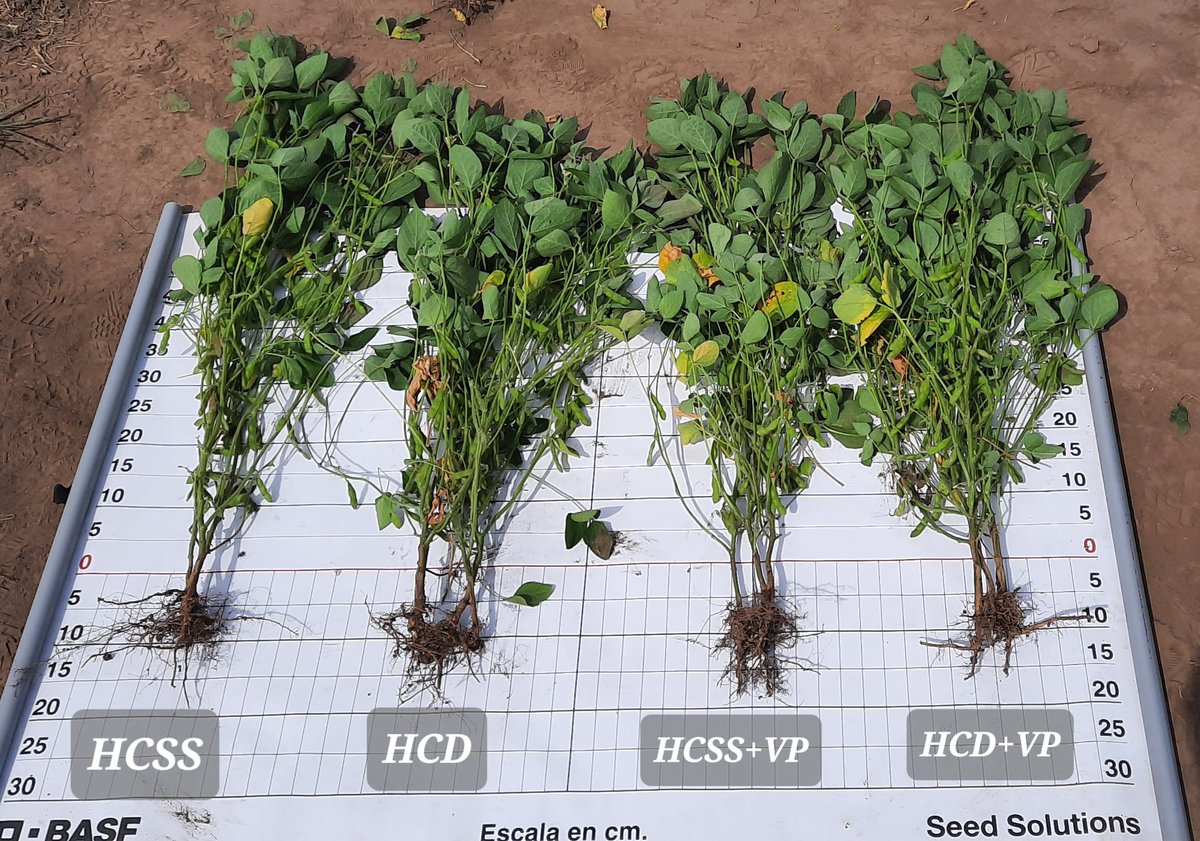 Sebastian Lareu (@lareusg) on Twitter photo Evaluando lo que viene en Tratamiento de Semillas para Soja <a href="/BASF_Agro_ARG/">BASF Agro Argentina</a>
#inoculante #biologicos Evaluando lo que viene en Tratamiento de Semillas para Soja <a href="/BASF_Agro_ARG/">BASF Agro Argentina</a>
#inoculante #biologicos