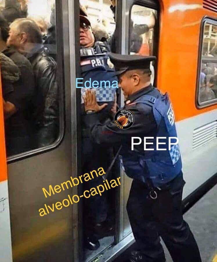 #AVENTHO 🫁