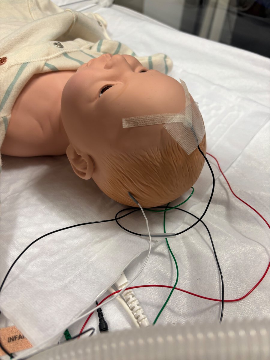 BCU Neonatal tweet media