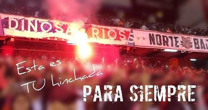La Norte Baja!! tweet media