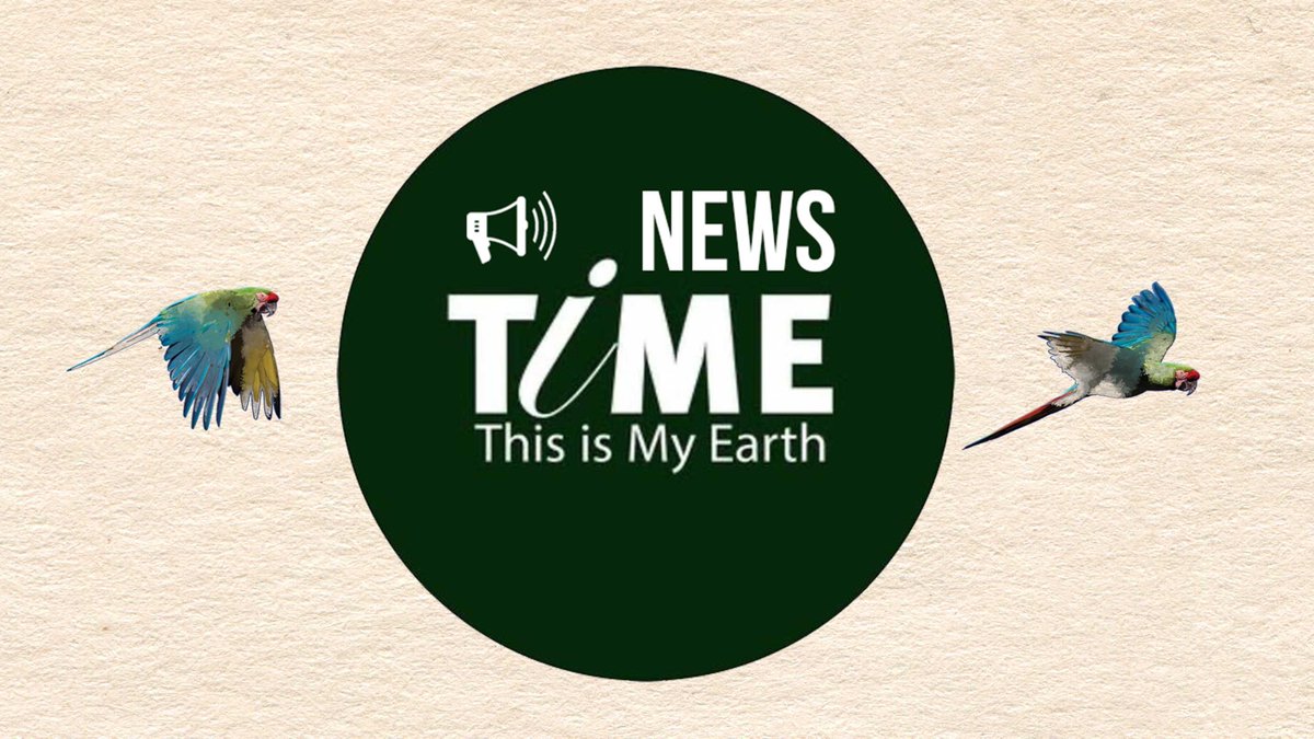 ThisisMyEarth's tweet photo. 🐢This newsletter is more personal than most. We invite you to read, close your eyes, and picture yourself in one of the most magical places on Earth.
https://t.co/1G7BSNyKFP
📩Subscribe to TiME News!
#TogetherThroughTiME #ecology #natureconservation #wildlife #climatechange https://t.co/tpt0SuqVA3