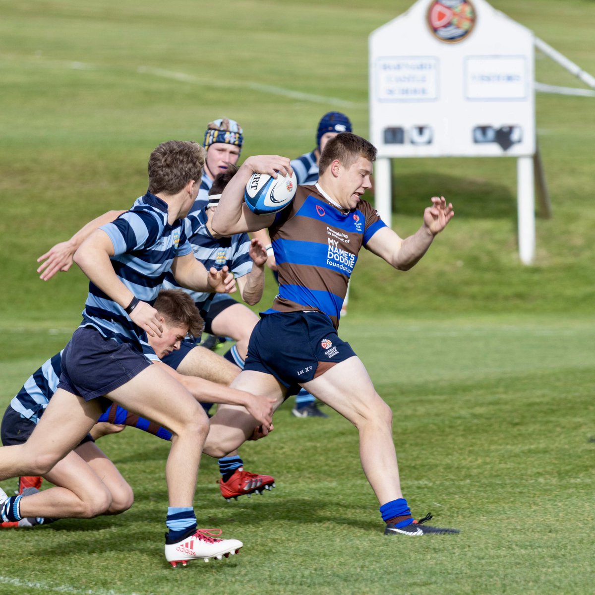 barney_school's tweet photo. 💙🦅🤎 

🤩 We are delighted to share some FANTASTIC news involving our trio of OBs representing @FalconsRugby! 👇

✍️ Freddie Lockwood, who Barney is proud to sponsor, has extended his contract with the club by a further two years! https://t.co/ruAmPtnL5E